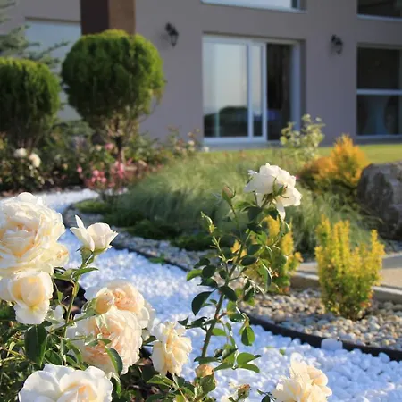 A Restauracia Harmonia Ostratice